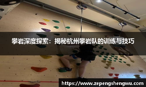 攀岩深度探索:揭秘杭州攀岩队的训练与技巧