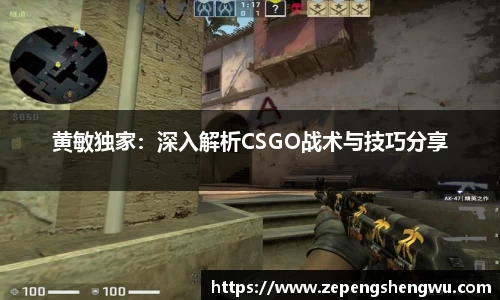 黄敏独家:深入解析CSGO战术与技巧分享