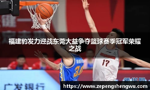 福建豹发力迎战东莞大益争夺篮球赛季冠军荣耀之战